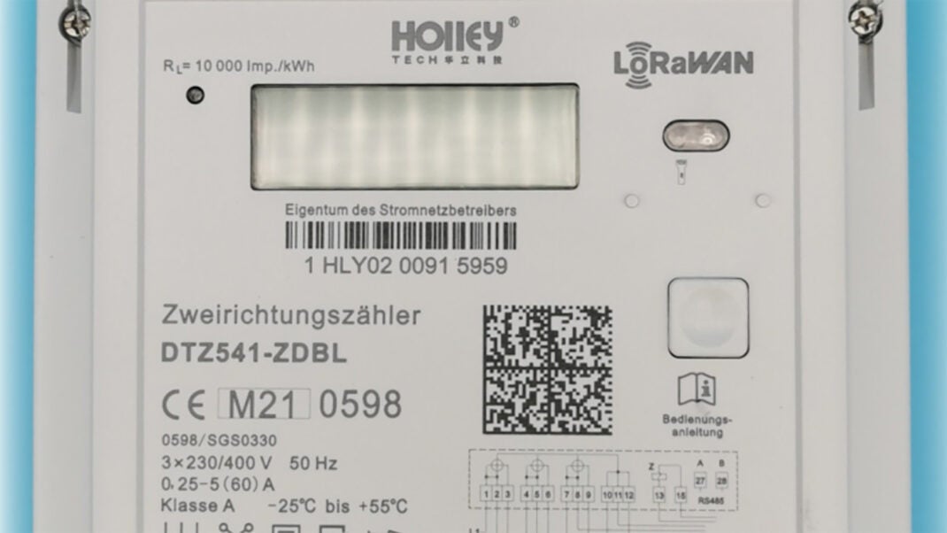 Betroffene Holley-Stromzähler des Typs DTZ541-ZEBA