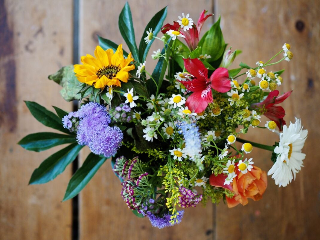 #Blumen zum Valentinstag – stressfrei & mit Frische-Garantie