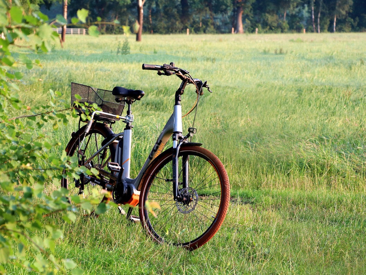 Ein blaues E-Bike steht neben einem Busch auf einer grünen Wiese.