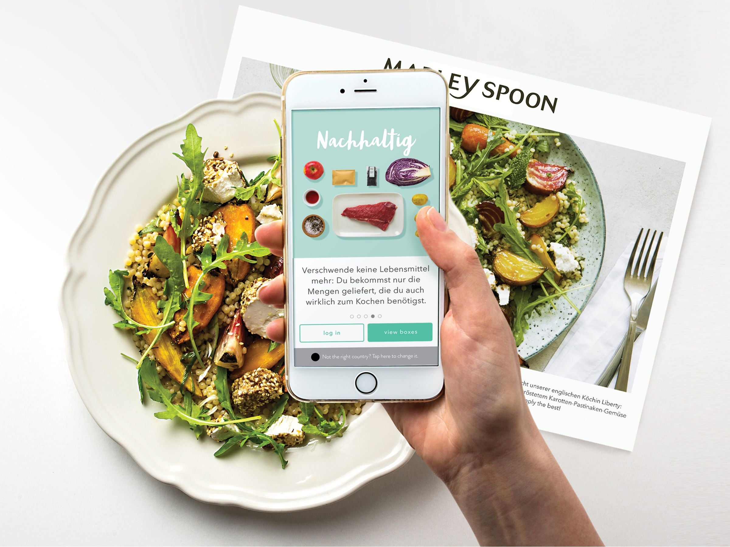 Kochbox Statt Einkaufen Hellofresh Marley Spoon Dinnerly Im Vergleich