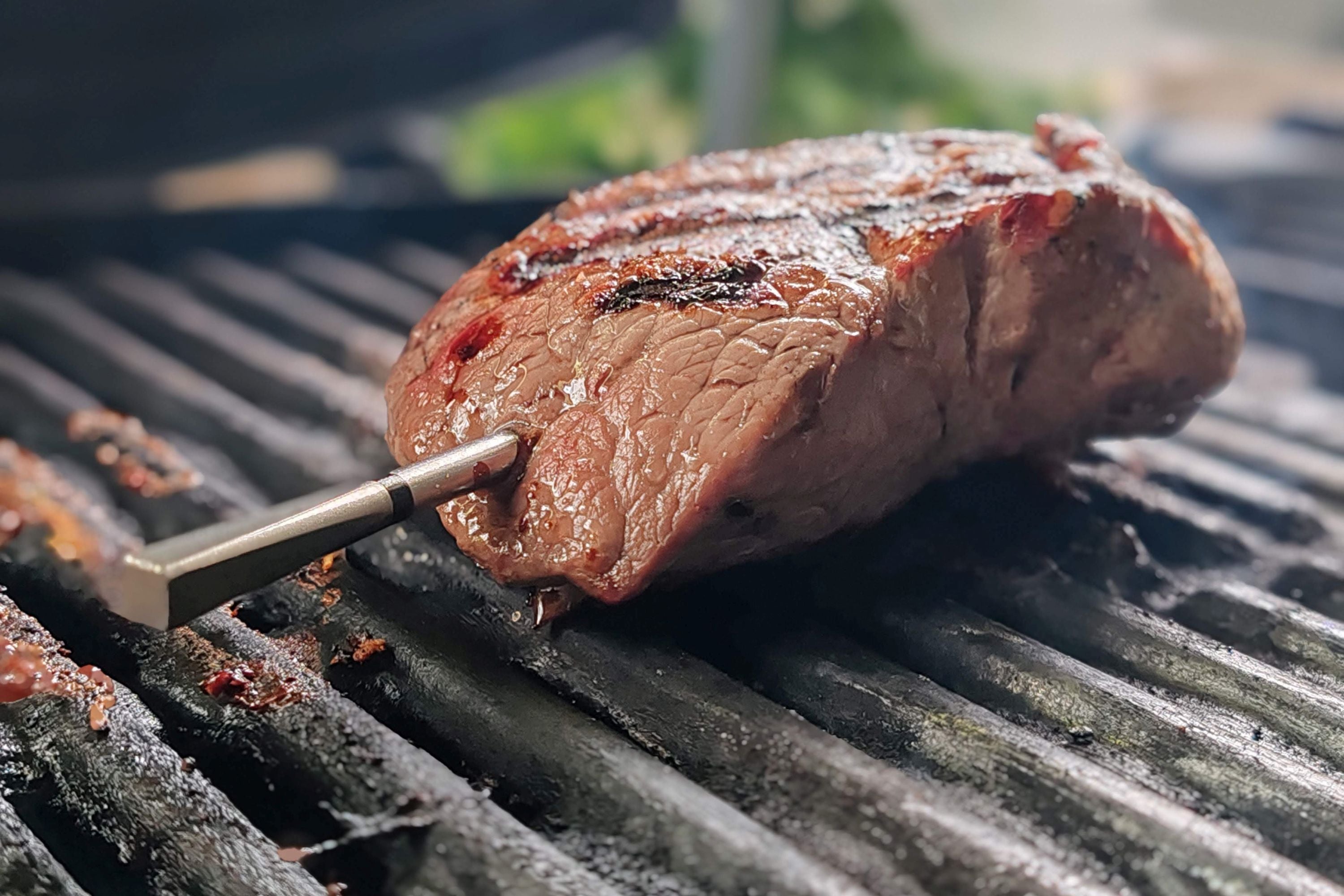 Meater 2 Plus in einem Stück Fleisch