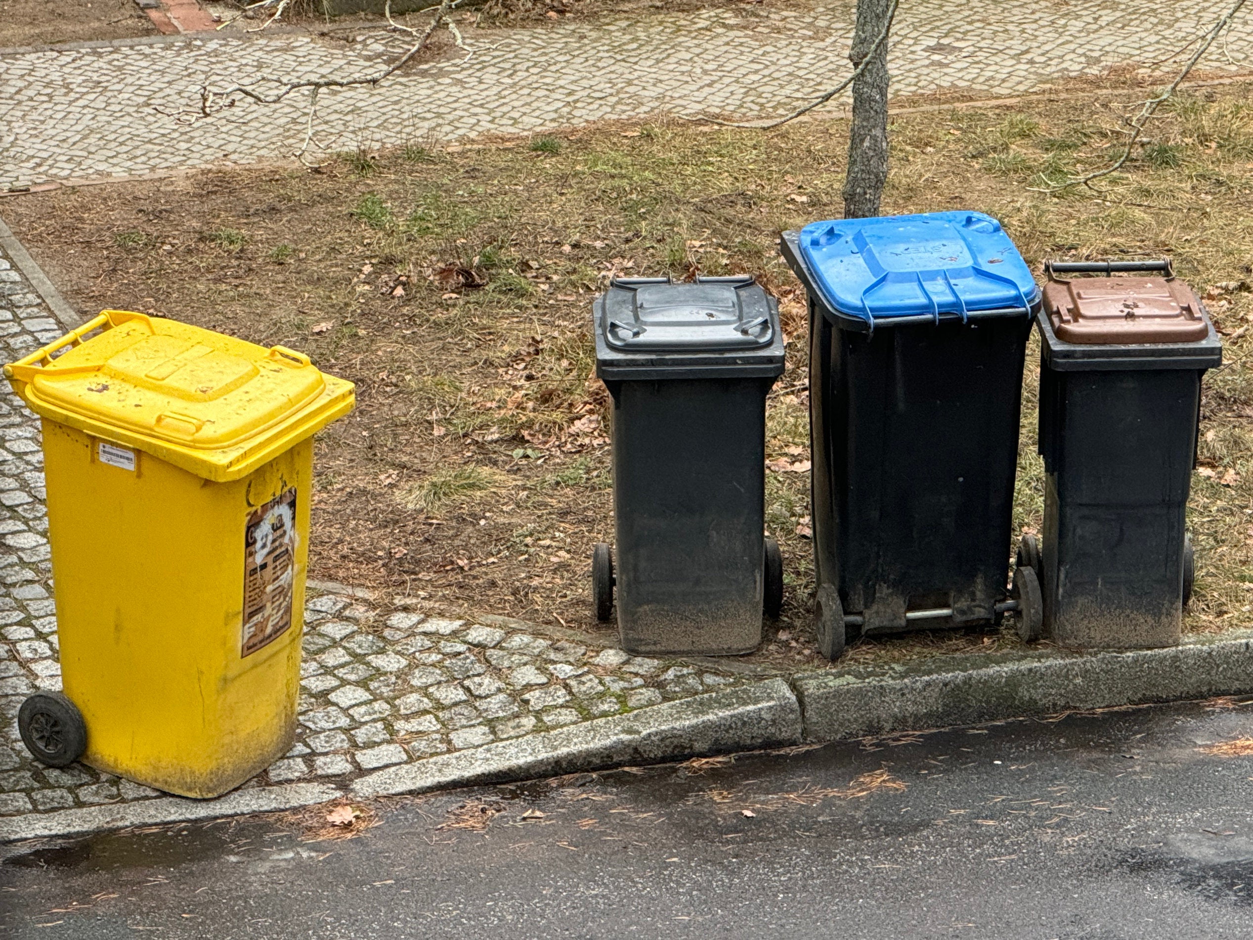 Falsch sortiert? Diese Mülltonnen werden nicht mehr geleert