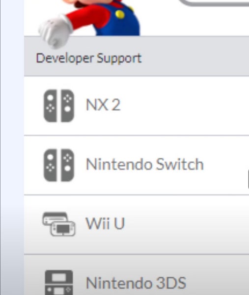 Ein Screenshot aus dem Developer Portal von Nintendo.