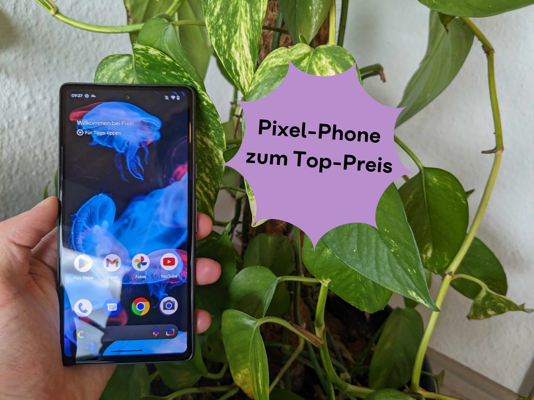 Google Pixel 7a vor einer Pflanze