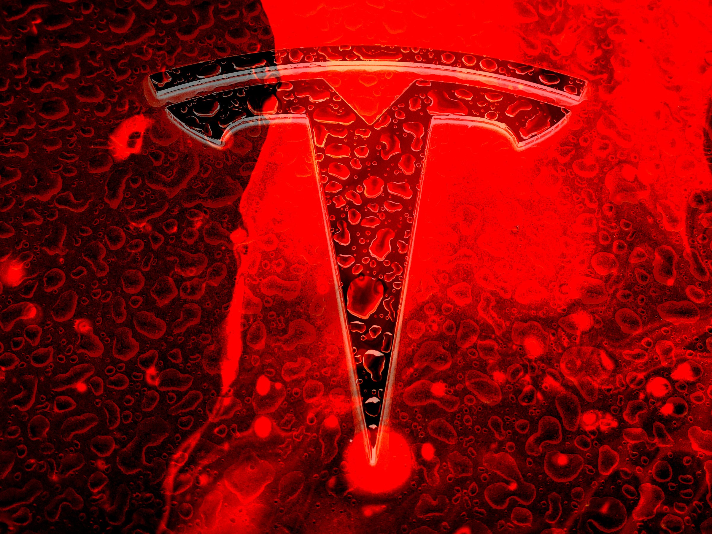 #Tesla: Dieser Mann will das Musk-Imperium zerstören
