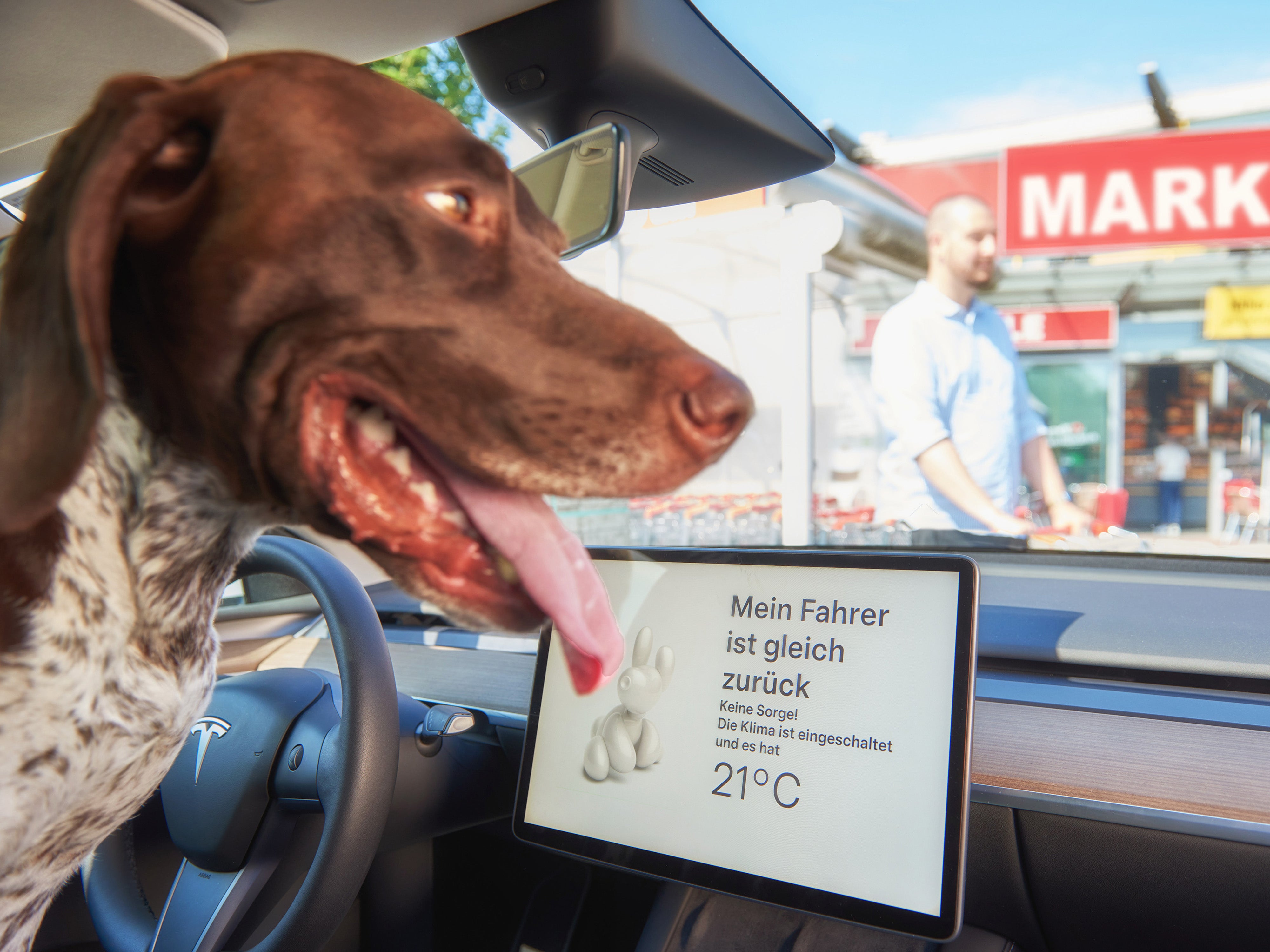 Tiere im E-Auto sitzen lassen - Wie sicher ist das?