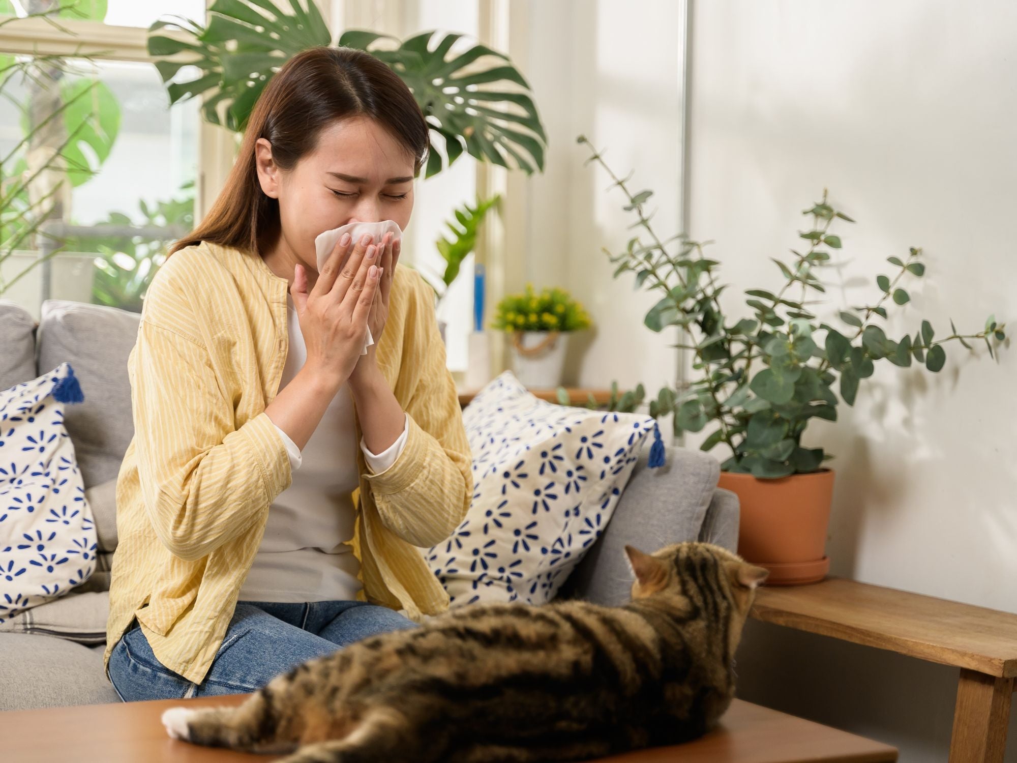 Must-have: Diese Haushaltsgeräte sind Wunderwaffen gegen Allergie