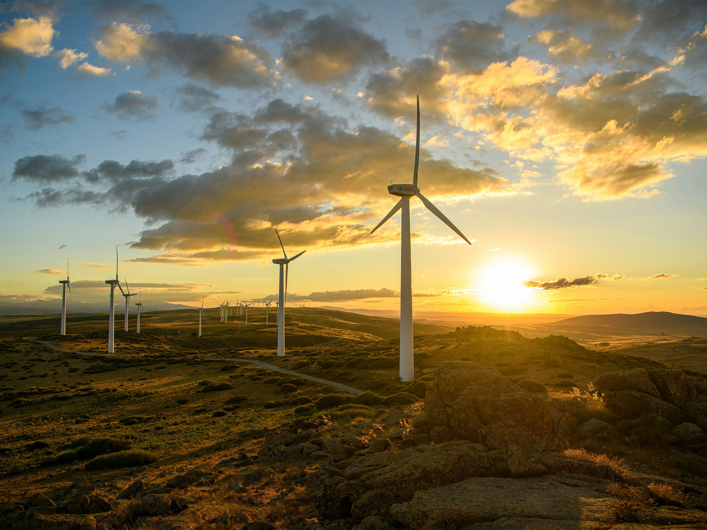 Windräder in einer Landschaft bei Sonnenuntergang